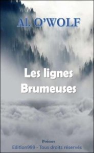 Lignes brumeuses